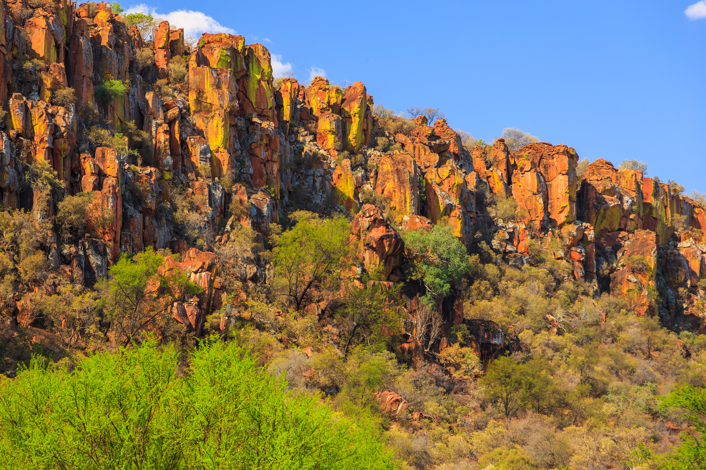 otjiwarongo (2).webp